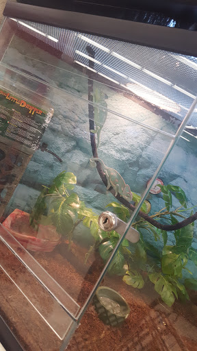 Pet Supply Store «Petco Animal Supplies», reviews and photos, 5601 Brodie Ln, Sunset Valley, TX 78745, USA