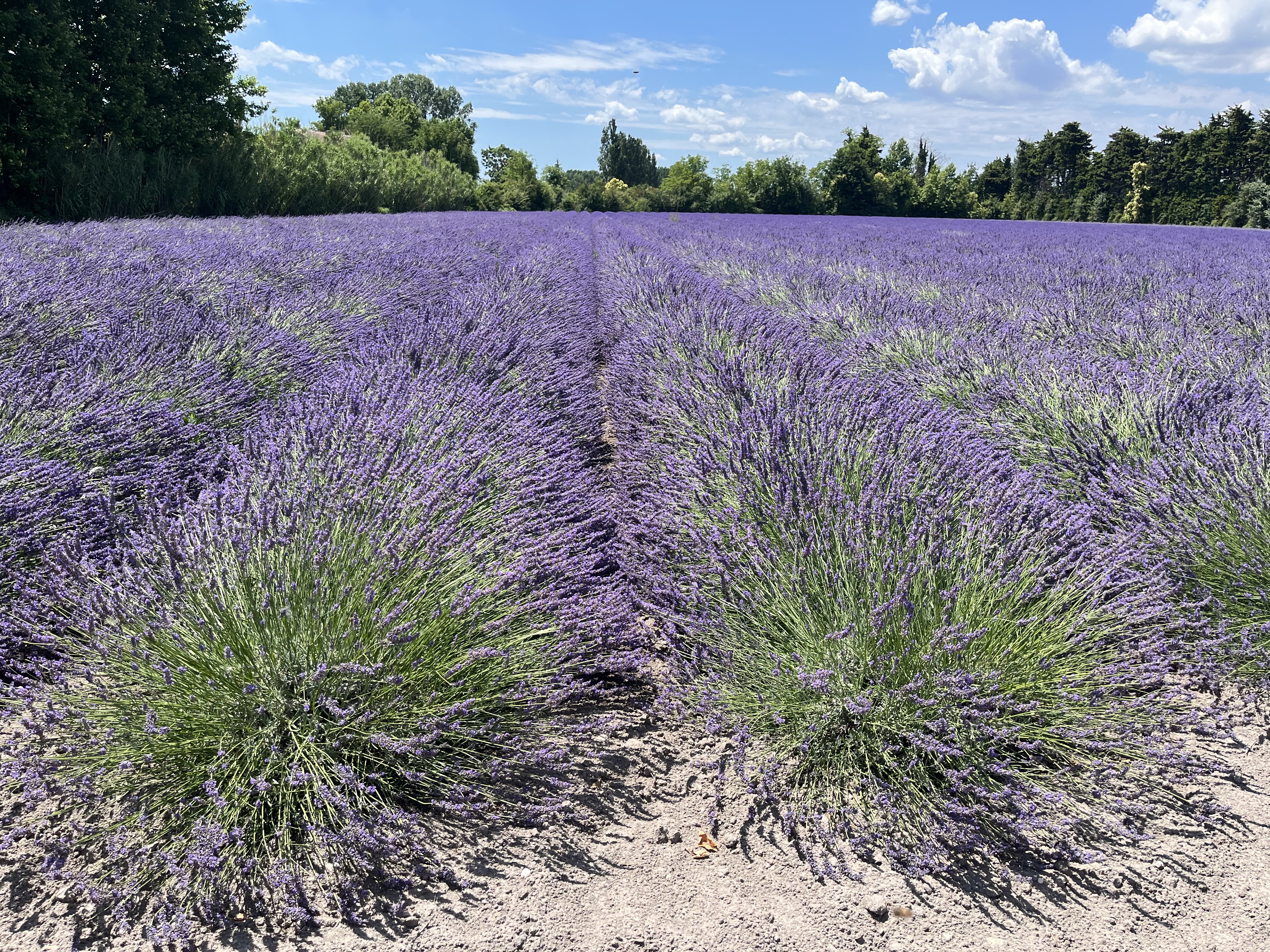 Photo n° 3 de l'avis de marcia.i fait le 25/06/2022 à 14:34