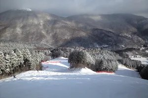 Kenmin-no-mori Ski Area image