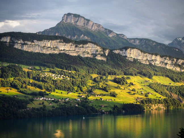 Rezensionen über gammagarten, Inh. Andrew Gamma in Schwyz - Gartenbauer