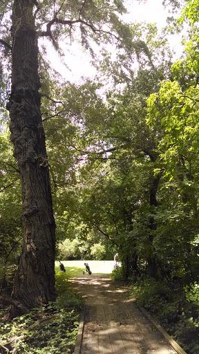 Public Golf Course «Hansen Park Golf Course», reviews and photos, 9800 Underwood Pkwy, Wauwatosa, WI 53226, USA