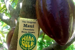 Hana Gold Cacao Plantation image