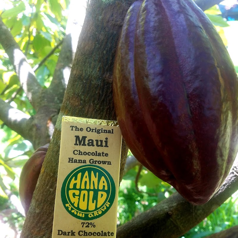 Hana Gold Cacao Plantation
