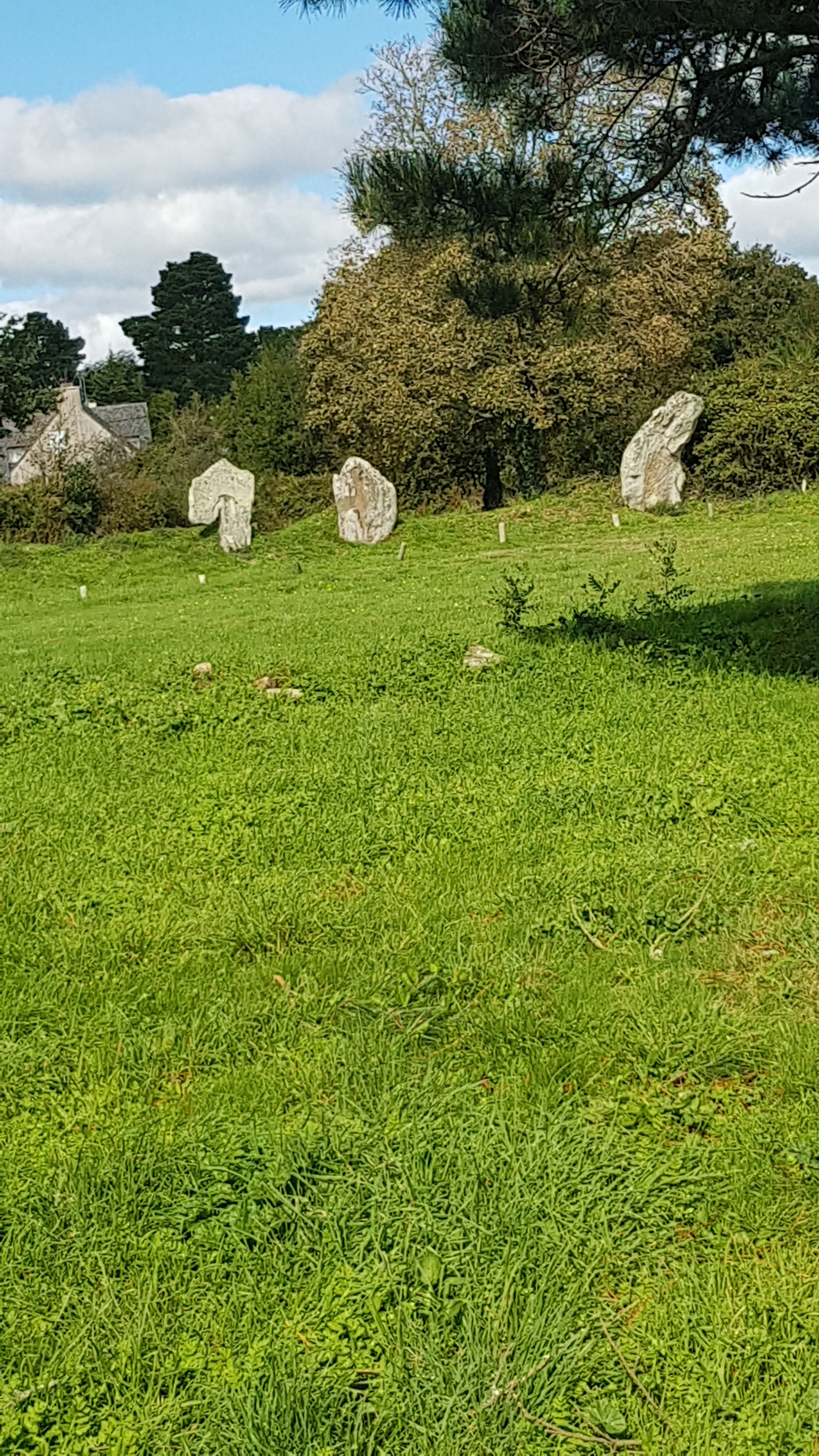 Photo n° 20 de l'avis de Mostrey.a fait le 09/10/2020 à 12:36