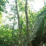 Photo n°14 de l'avis de Olandese.o fait le 25/06/2022 à 10:33 sur le  Parco Avventura Adrenalina Verde à Serra San Bruno