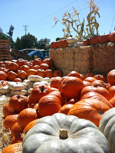 Grocery Store «Safeway Community Markets», reviews and photos, 690 Fremont Ave, Los Altos, CA 94024, USA