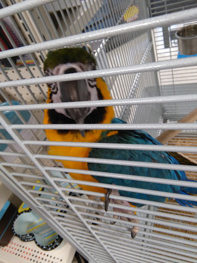 Pet Store «Fish Bowl», reviews and photos, 2117 E Race Ave, Searcy, AR 72143, USA