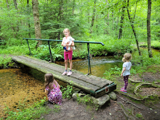 Museum «Harry C Barnes Memorial Nature Center», reviews and photos, 175 Shrub Rd, Bristol, CT 06010, USA