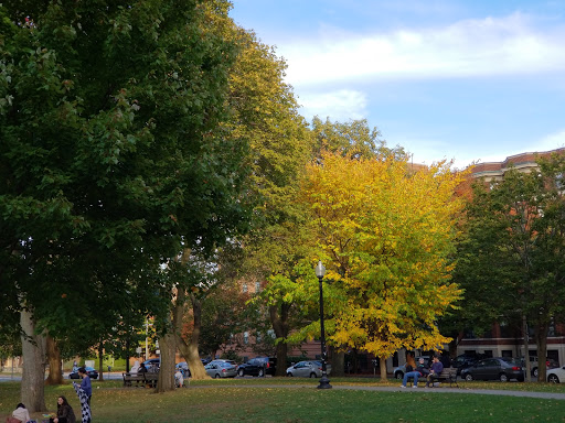 Art Museum «Isabella Stewart Gardner Museum», reviews and photos, 25 Evans Way, Boston, MA 02115, USA