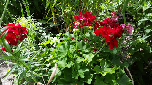 Towing Service «Abel Towing Wrecker & Auto Service», reviews and photos, 1717 Belvidere St, Waukegan, IL 60085, USA