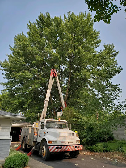 Undercutters Tree Removal LLC