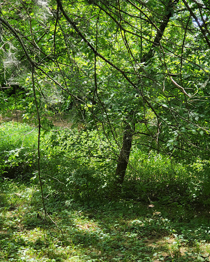 Park «Arthur K Draut Park», reviews and photos, Bowling Blvd, St Matthews, KY 40207, USA