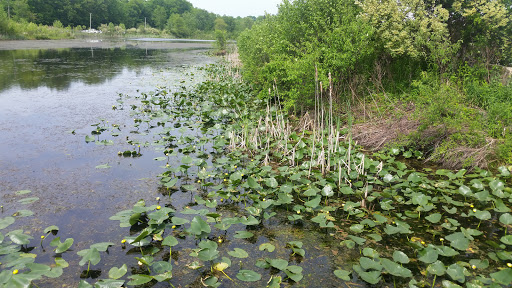 Ski Resort «Shawnee Mountain Ski Area», reviews and photos, 401 Hollow Rd, East Stroudsburg, PA 18301, USA