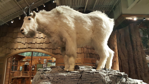 Sporting Goods Store «Bass Pro Shops», reviews and photos, 1356 Bass Pro Dr, Manteca, CA 95337, USA