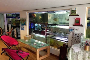 Hanazono Church Aquarium image