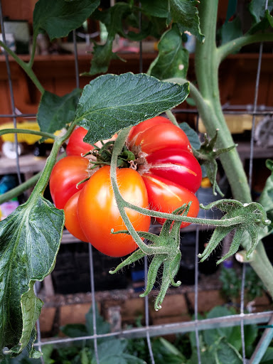 Wedding Venue «Red Cedar Farm», reviews and photos, 27054 NW Lofall Rd, Poulsbo, WA 98370, USA