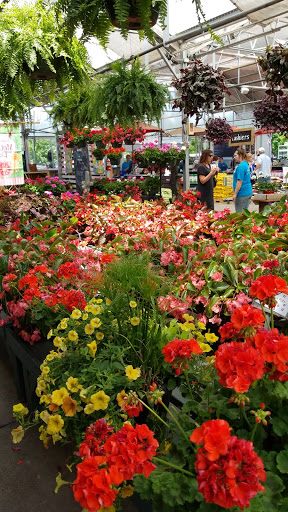 Plant Nursery «Martins Home & Garden», reviews and photos, 1020 NW Broad St, Murfreesboro, TN 37129, USA