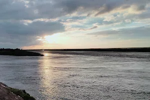 Vikramshila Gangetic Dolphin Sanctuary image