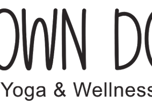 Down Dog Yoga & Wellness image