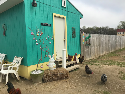 Zoo «3 Palms Zoo & Education Center», reviews and photos, 924 Blackbird Forest Rd, Clayton, DE 19938, USA