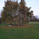 Photo n°3 de l'avis de B..r fait le 17/11/2019 à 10:29 sur le  Burghotel Fam. Schiehle 73312 Geislingen Schalkstetter Straße 1 à Geislingen