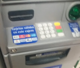 OXXO magnolias photo