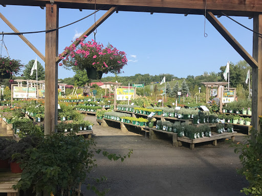 Artificial plant supplier New Haven