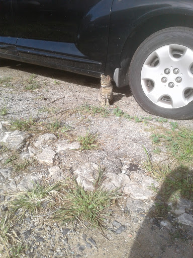 Thrift Store «Bargain Thrift Center», reviews and photos, 5261 Germantown Ave, Philadelphia, PA 19144, USA