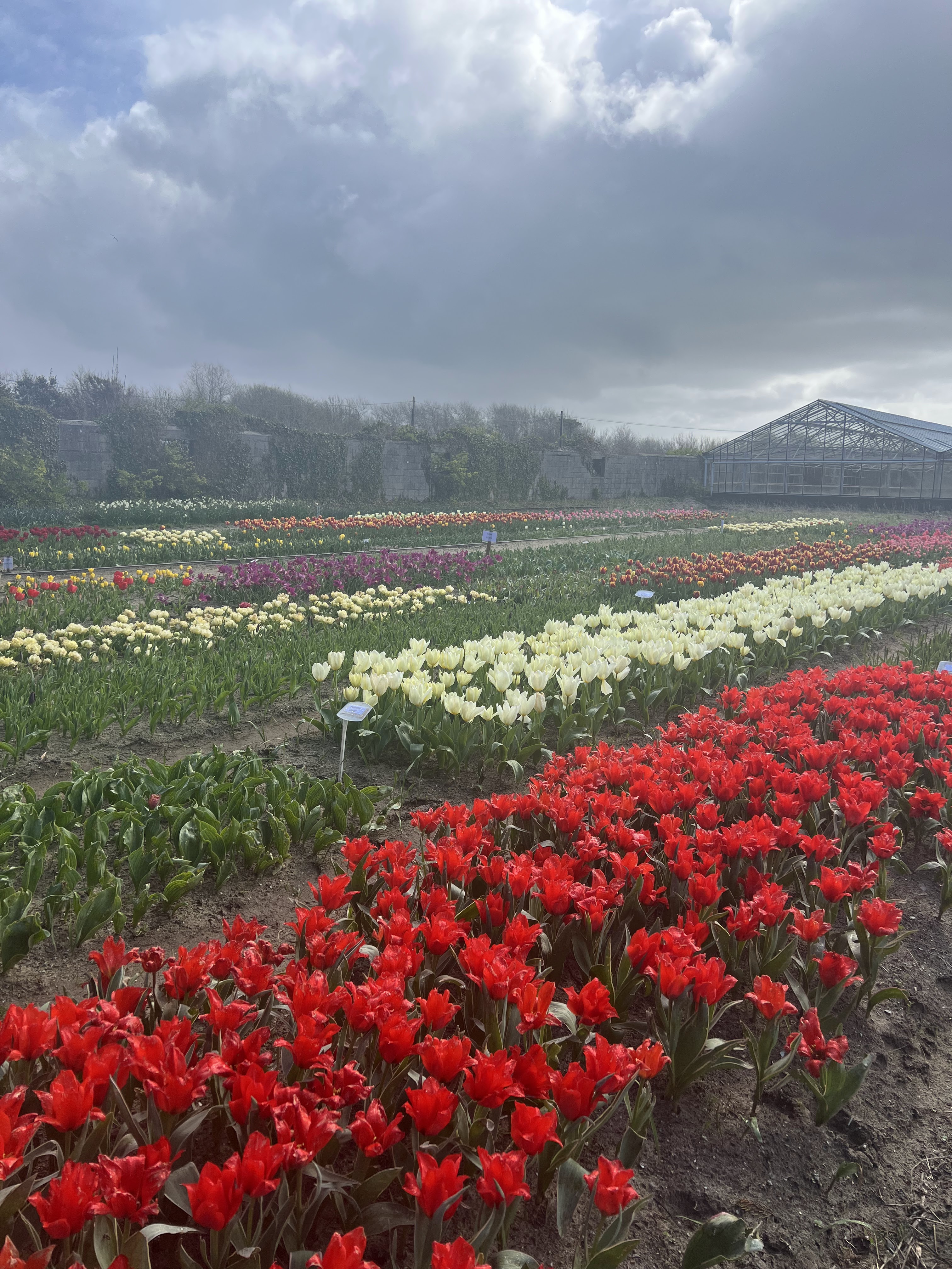 Photo n° 1 de l'avis de Camille. fait le 24/03/2024 à 18:29