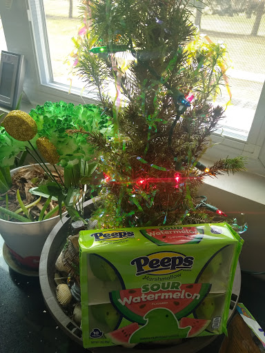 Dollar Store «Dollar Tree», reviews and photos, 3103 111th St #115, Naperville, IL 60564, USA