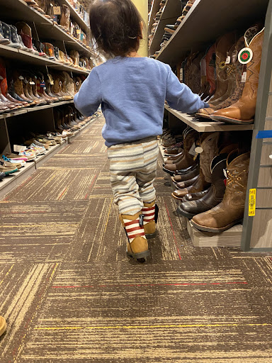 Big 5 Sporting Goods image