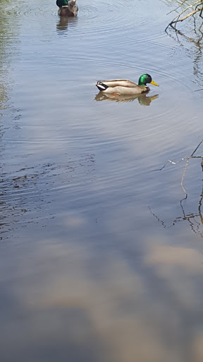 Park «Hillendale Park», reviews and photos, 19260 Clairmont Way, Oregon City, OR 97045, USA