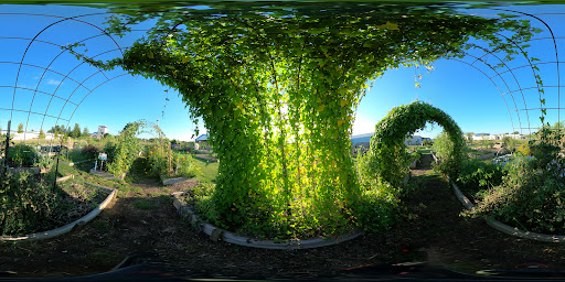 Non-Profit Organization «Helping Hands Inc», reviews and photos