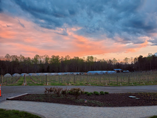 Winery «Saudé Creek Vineyards», reviews and photos, 16230 Cooks Mill Rd, Lanexa, VA 23089, USA