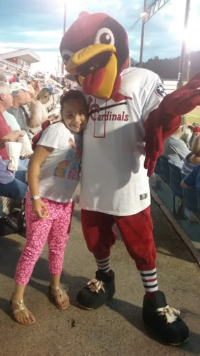 Baseball Club «Johnson City Cardinals», reviews and photos