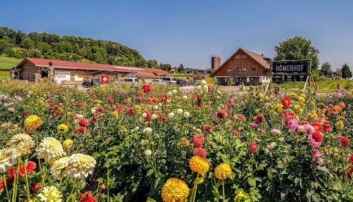 Römerhof, Jucker Farm AG