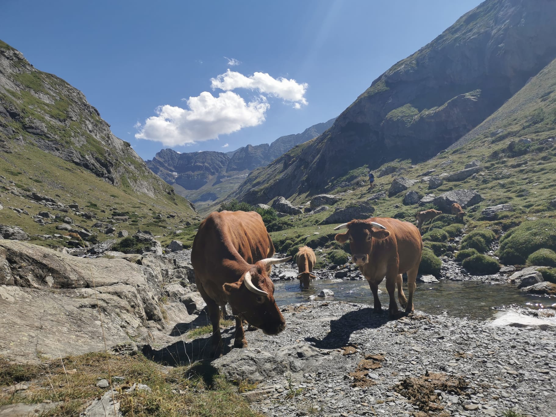 Photo n° 2 de l'avis de CH.R fait le 14/08/2023 à 14:23