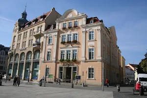 Senckenberg Museum of Natural Sciences image