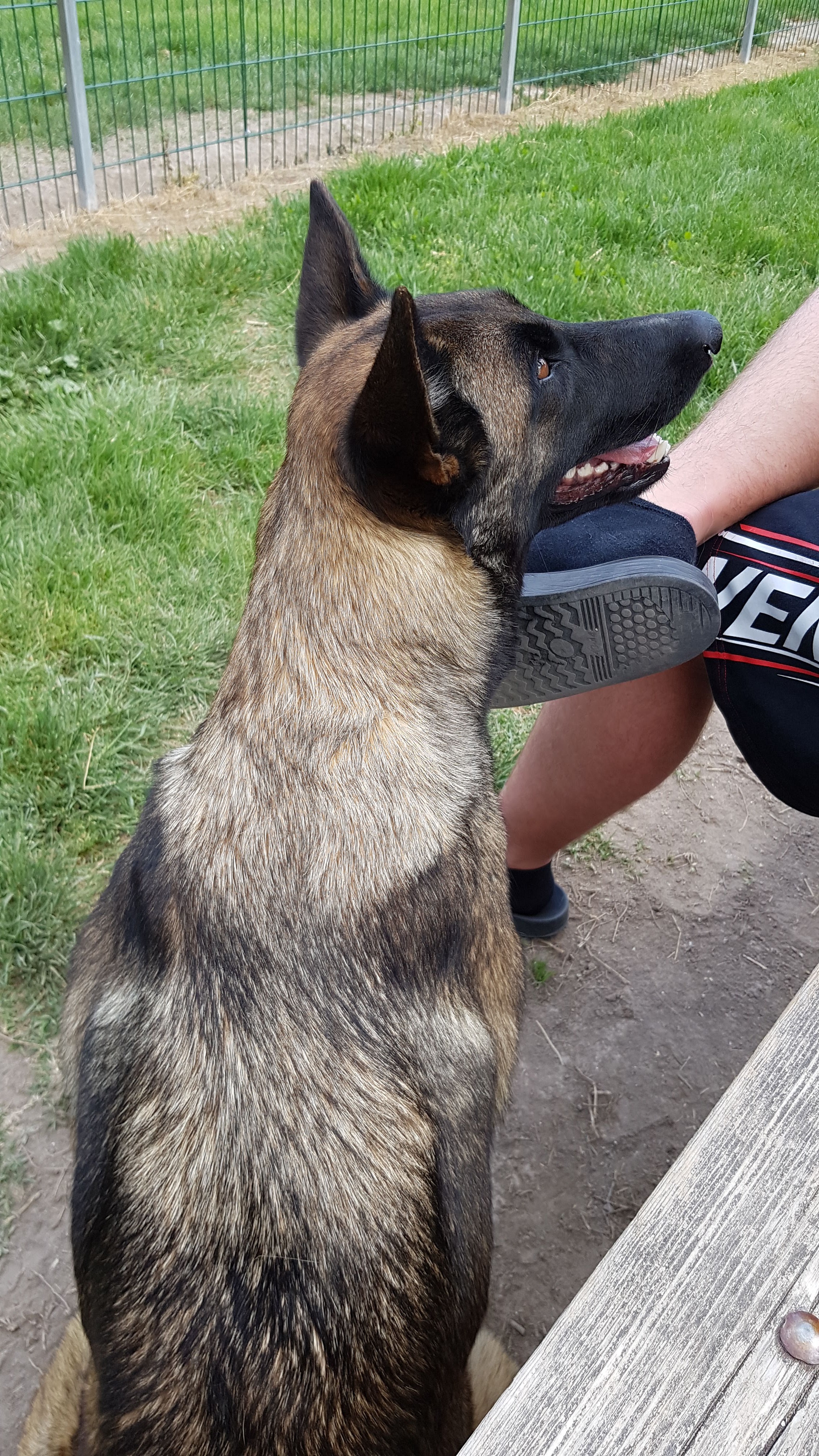 Photo n° 1 de l'avis de Débora. fait le 18/05/2019 à 14:53
