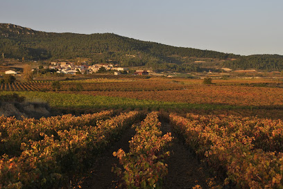 Villalba de Rioja - 26292, La Rioja, Spain