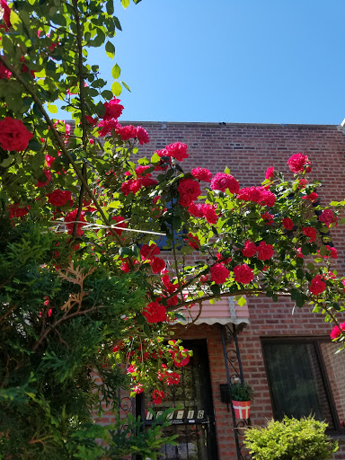 Museum «Voelker Orth Museum», reviews and photos, 14919 38th Ave, Flushing, NY 11354, USA