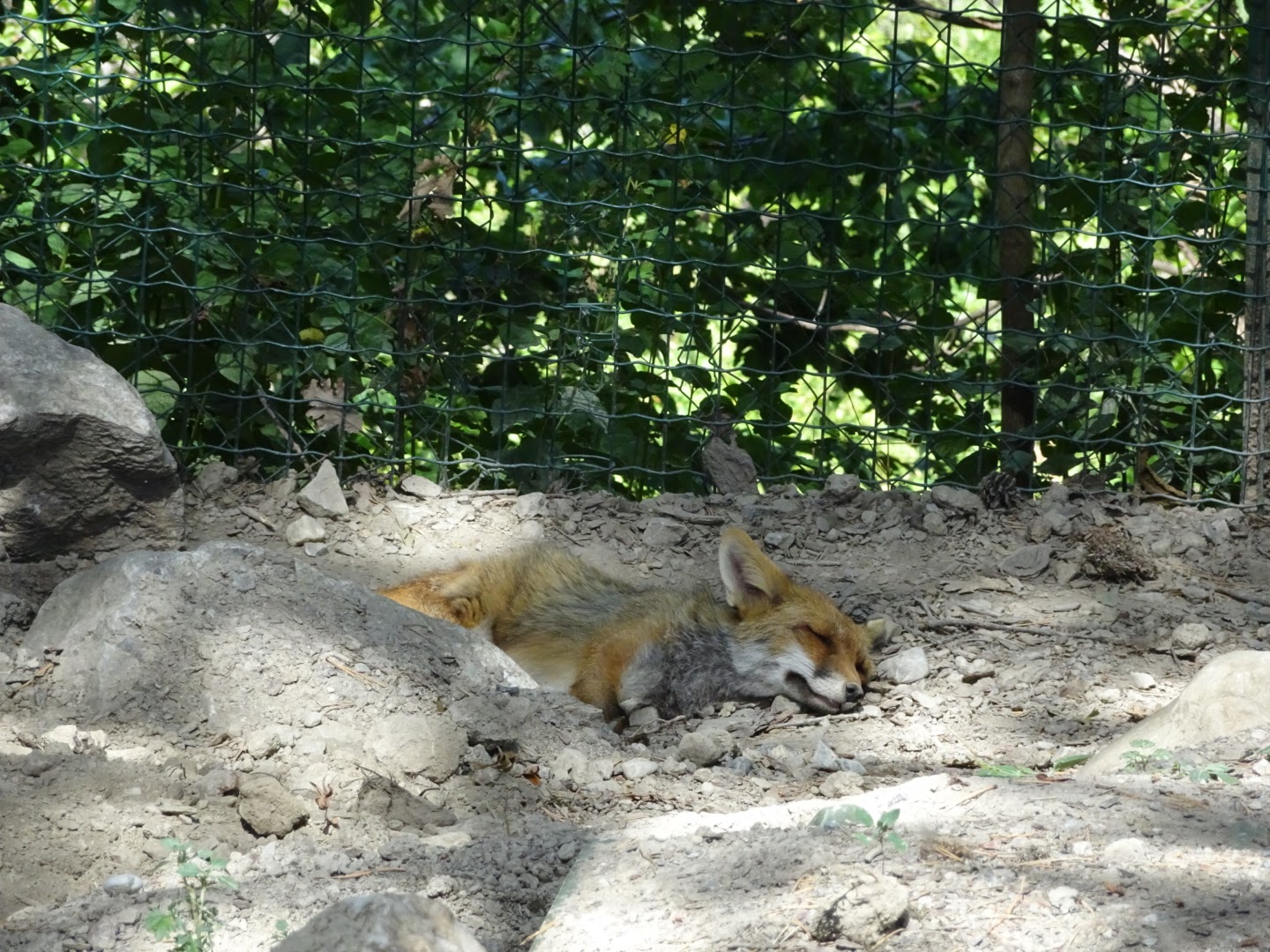 Photo n° 24 de l'avis de Romain.o fait le 17/08/2017 à 11:56