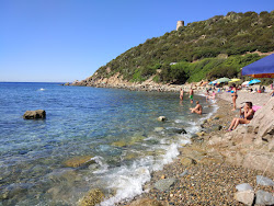 Cala Regina'in fotoğrafı biraz temiz temizlik seviyesi ile