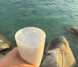 Shark View Bar photo