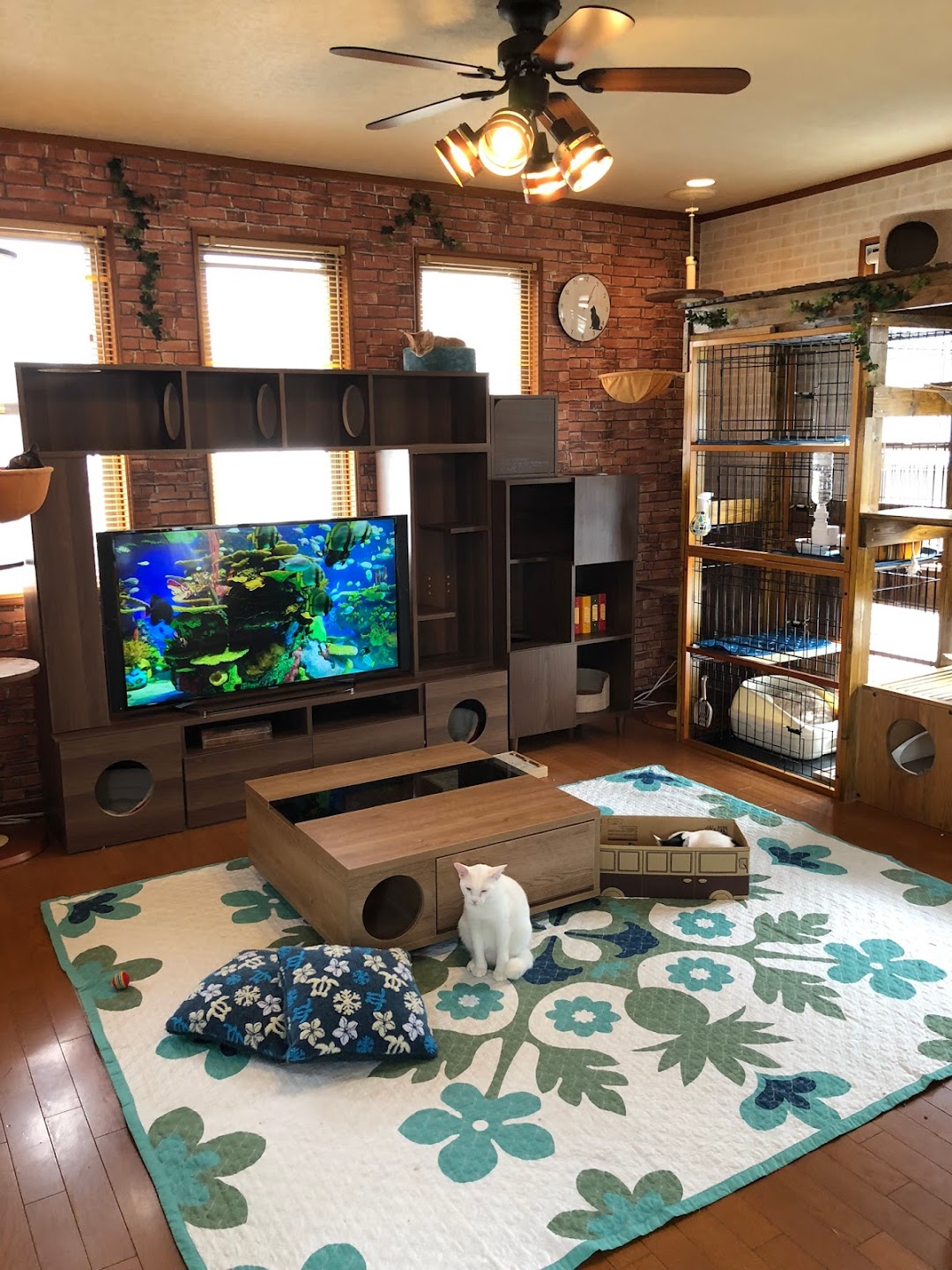 保護猫カフェminette 市内で静岡市