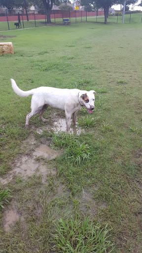 Recreation Center «Rosemeade Recreation Center», reviews and photos, 1330 E Rosemeade Pkwy, Carrollton, TX 75007, USA