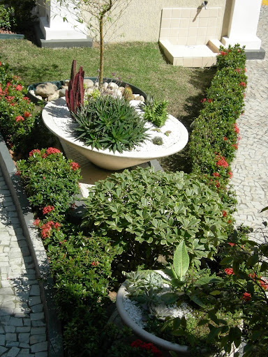 Logo da empresa - Niterói Plantas