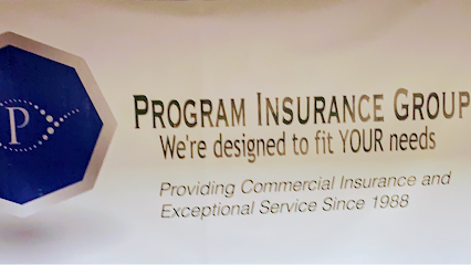 Program Insurance Group