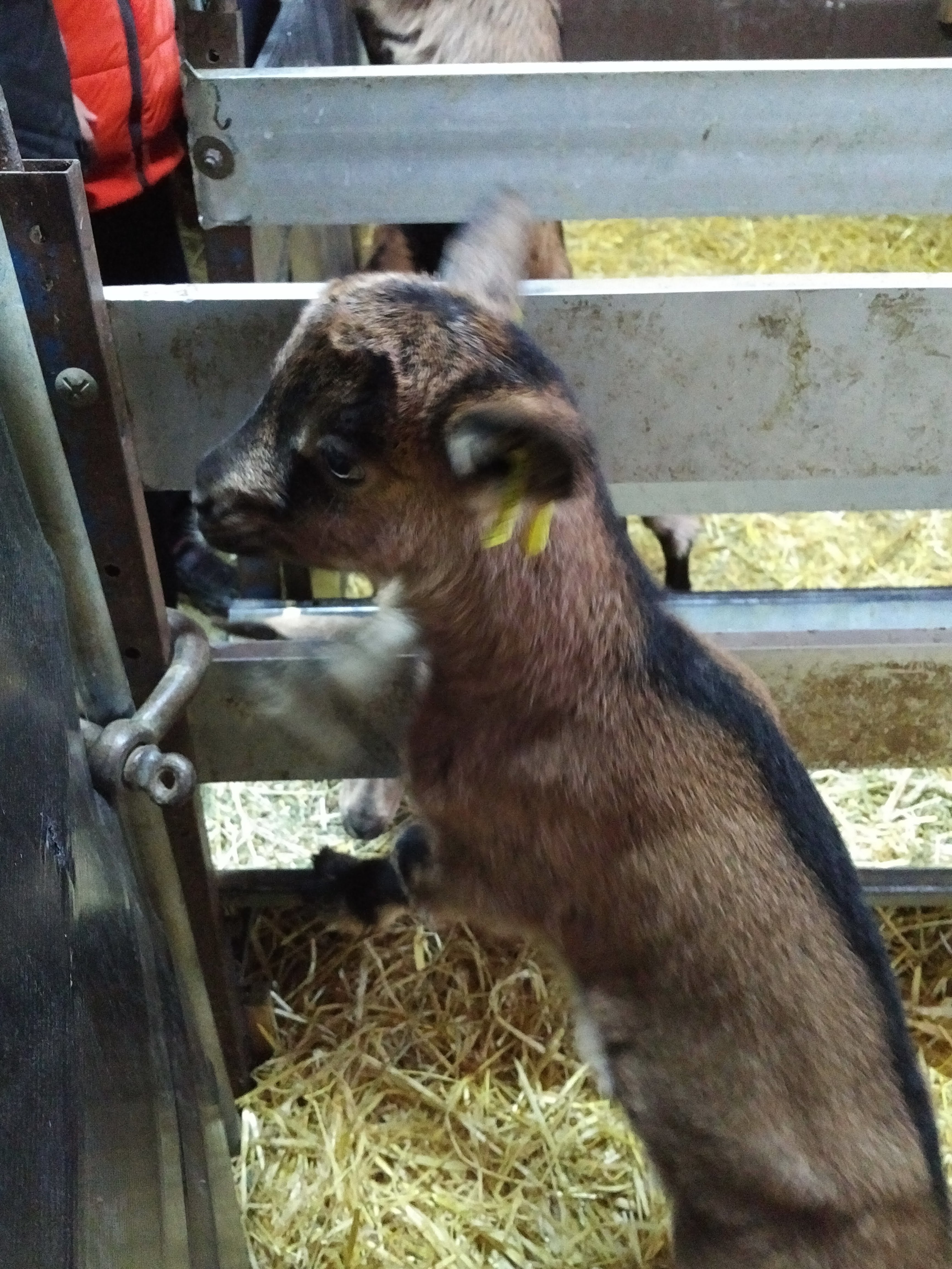 Photo n° 2 de l'avis de Gaelle.l fait le 02/03/2019 à 18:27