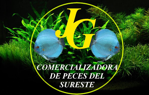 Distribuidora De Peces JESUS GONGORA